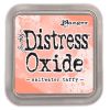 Saltwater Taffy Distress Oxide - Ranger Ink